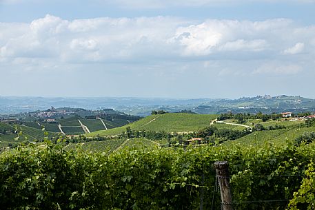 Langa of Barolo Landscape